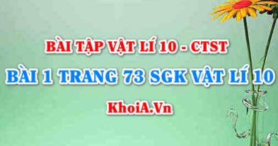 Bài 1 trang 73 SGK Vật lí 10 Chân trời sáng tạo